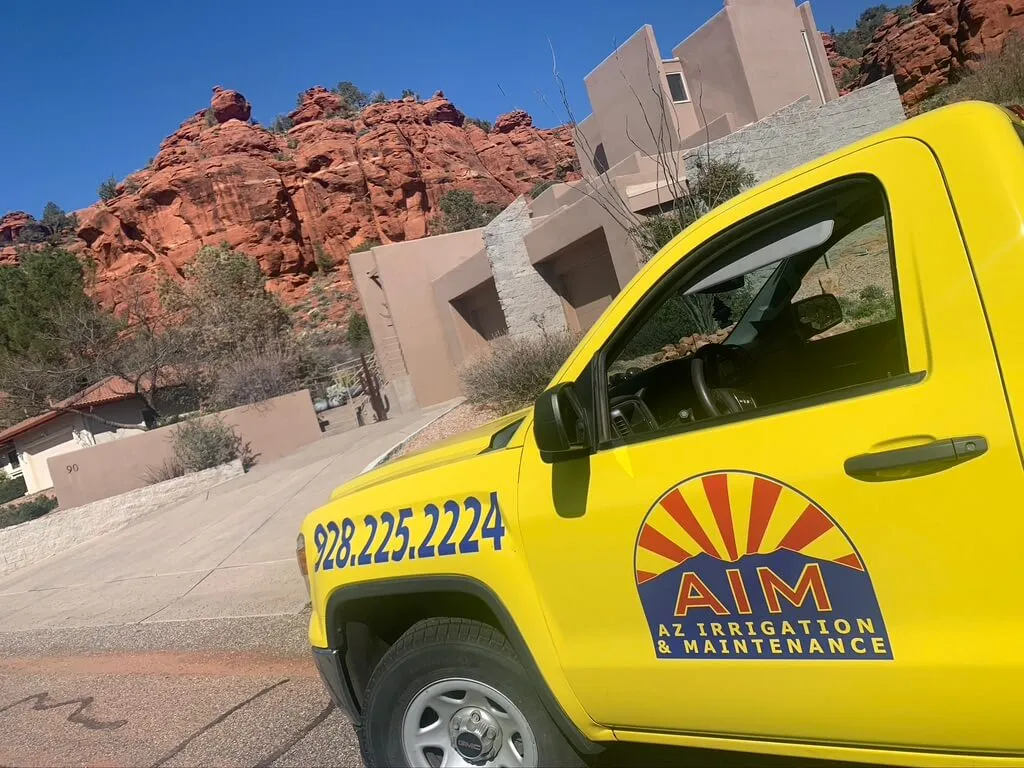 AIM Pick up truck